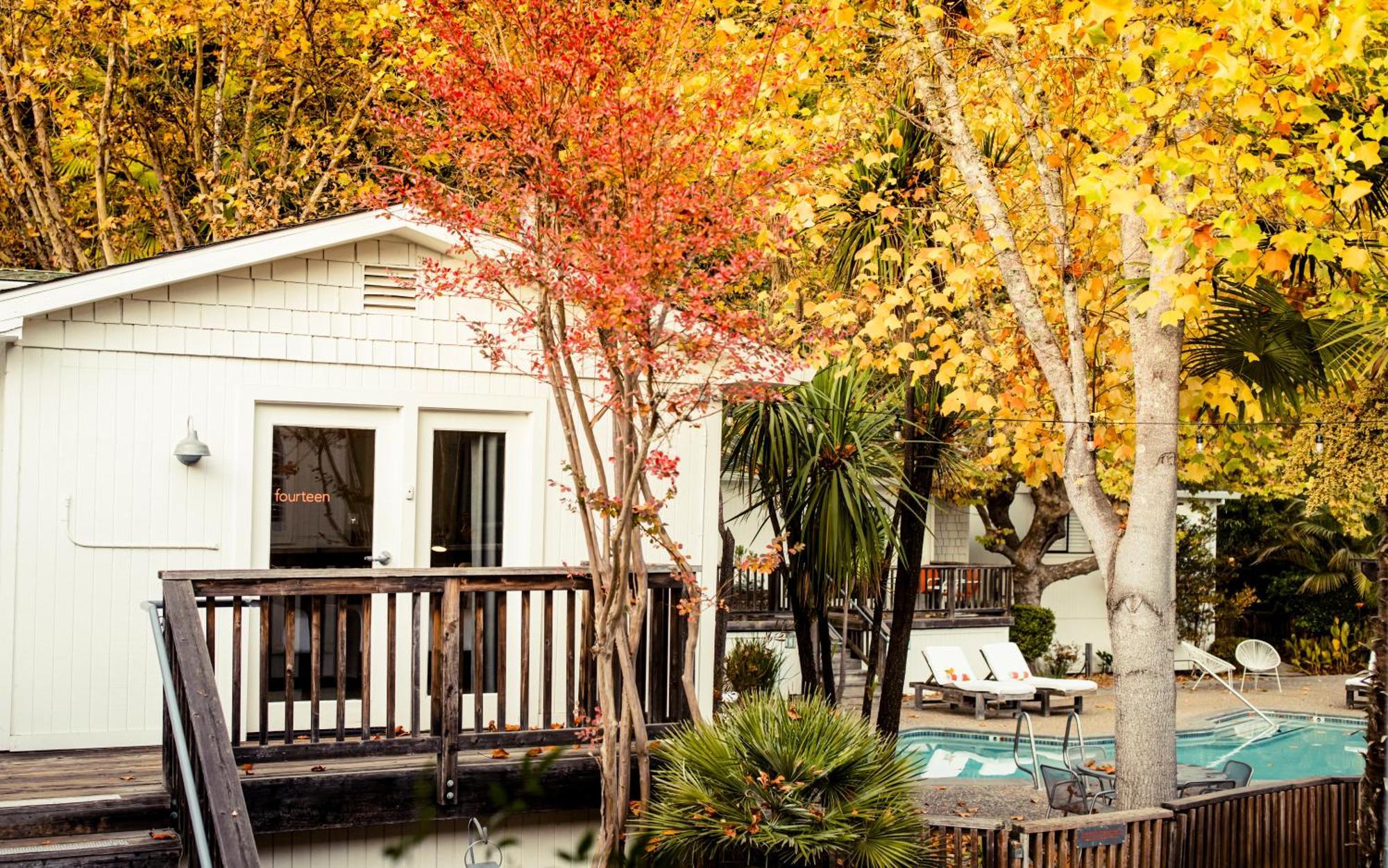 Boon Hotel + Spa - Adults Only Guerneville Cameră foto
